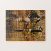 Canada Goose Family Cute Babies Goslings Geese Legpuzzel (Horizontaal)