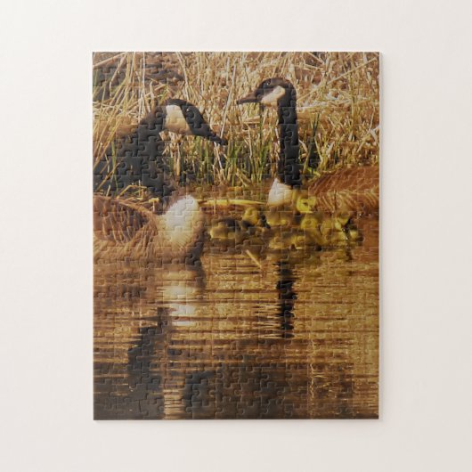 Canada Goose Family Cute Babies Goslings Geese Legpuzzel (Verticaal)