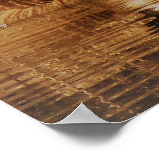 Canada Goose Family Cute Babies Goslings Geese Poster (Hoek)