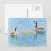 Canada Goose Family Fine Art Natuur Briefkaart (Voorkant / Achterkant)