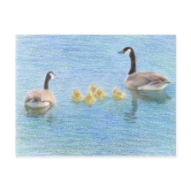 Canada Goose Family Fine Art Natuur Briefkaart