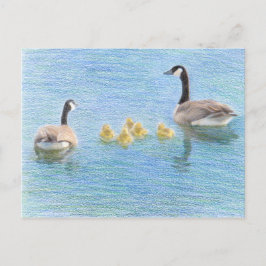 Canada Goose Family Fine Art Natuur Briefkaart