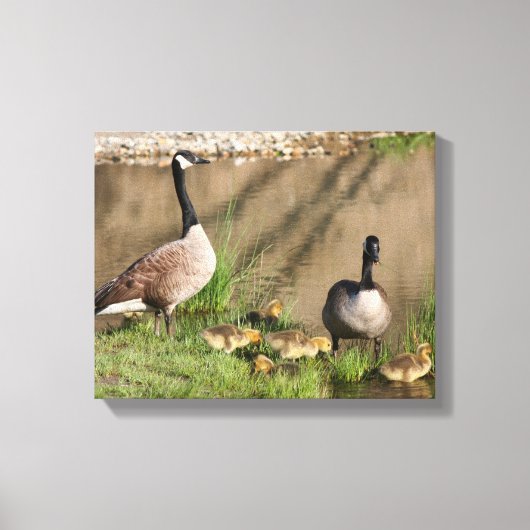 Canada Goose Family Natuur Canvas Afdruk (Voorkant)