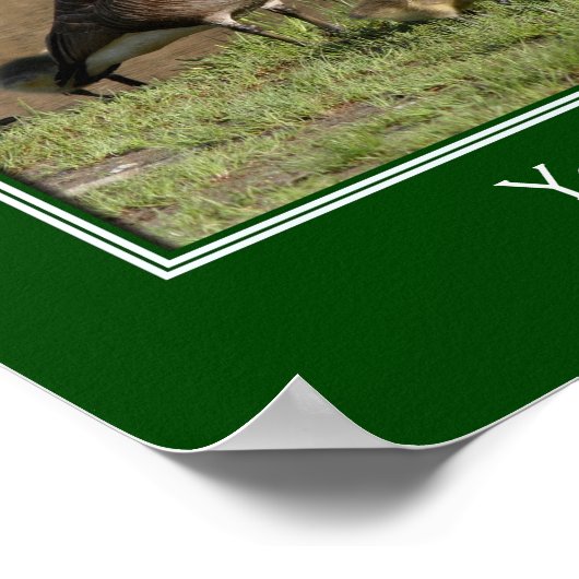 Canada Goose Family Voeg je eigen tekst toe Poster (Hoek)