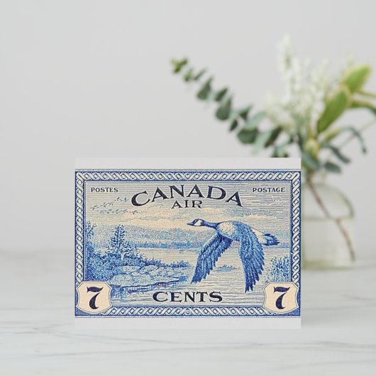 Canada Goose Folie Post Kaart (Staand Voorkant)