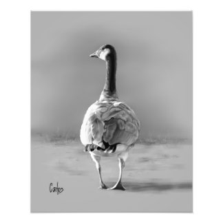 Canada Goose Foto Afdruk