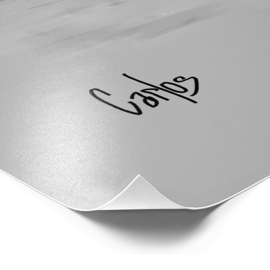 Canada Goose Foto Afdruk (Hoek)