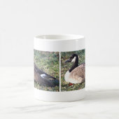 Canada Goose Foto Mok (Center)