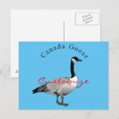 Canada Goose Gander Thunder_Cove Briefkaart (Voorkant / Achterkant)