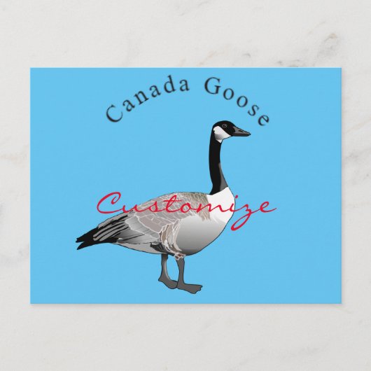 Canada Goose Gander Thunder_Cove Briefkaart (Voorkant)