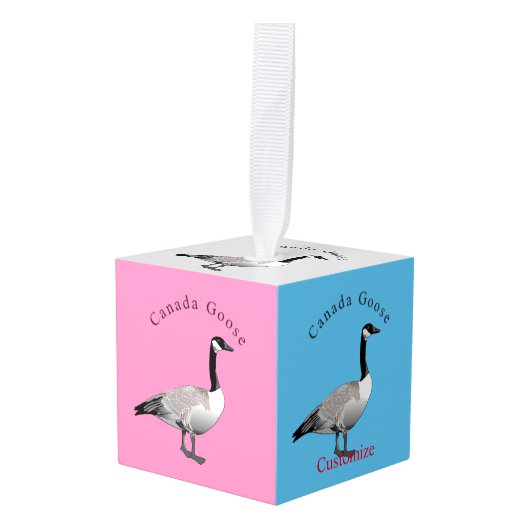 Canada Goose Gander Thunder_Cove Decoratie (Voorkant hoekig)