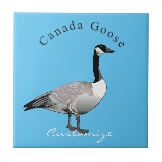 Canada Goose Gander Thunder_Cove Tegeltje (Voorkant)