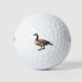 Canada Goose Golfballen (Voorkant)