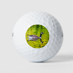 Canada Goose Golfballen