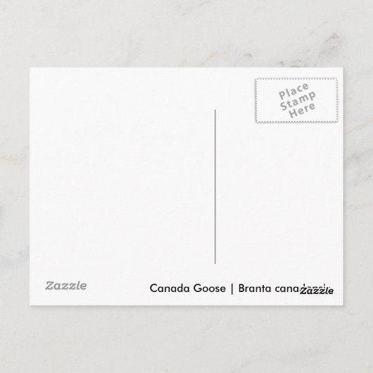 Canada Goose Gosling Briefkaart (Achterkant)