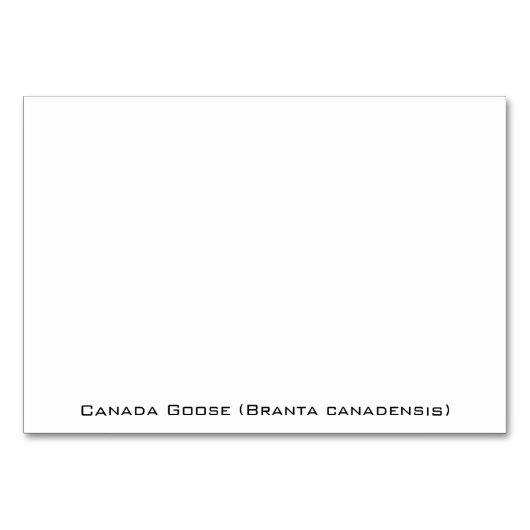 Canada Goose Gosling Kaart (Achterkant)