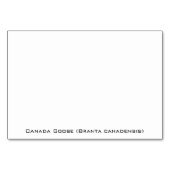 Canada Goose Gosling Kaart (Achterkant)