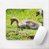 Canada Goose Gosling Muismat (Met muis)