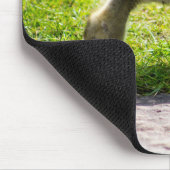 Canada Goose Gosling Muismat (Hoek)