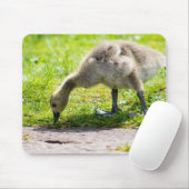 Canada Goose Gosling Muismat (Met muis)
