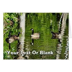 (Canada) Goose Green