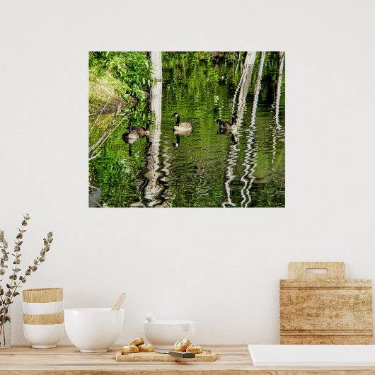 (Canada) Goose Green Poster (Keuken)
