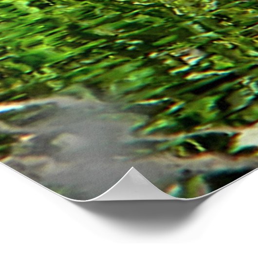 (Canada) Goose Green Poster (Hoek)