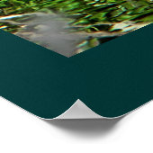 (Canada) Goose Green Poster (Hoek)