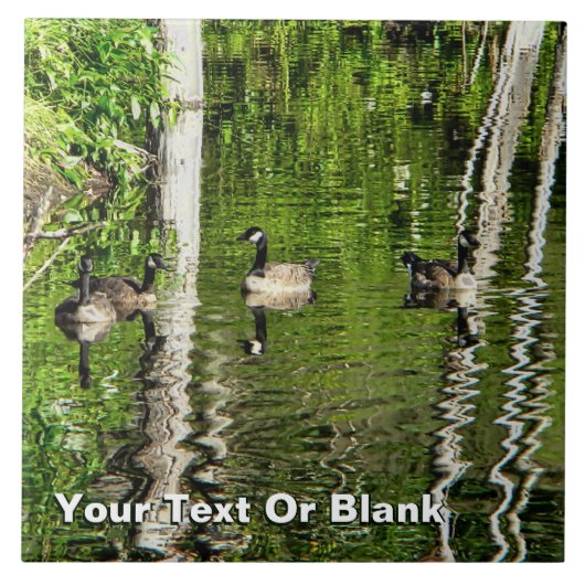 (Canada) Goose Green Tegeltje (Voorkant)