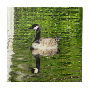(Canada) Goose Green Tegeltje