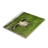 (Canada) Goose Green Tegeltje (Zijkant)