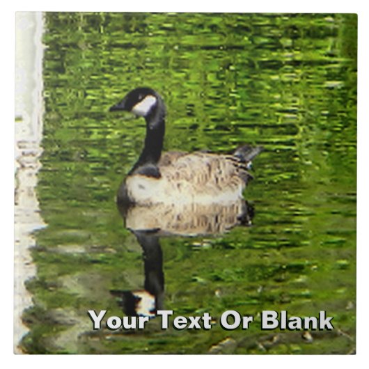 (Canada) Goose Green Tegeltje (Voorkant)