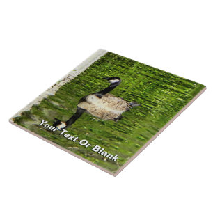 (Canada) Goose Green Tegeltje