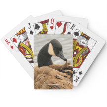 Canada Goose Grooming op het meer