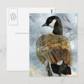 Canada Goose Grunge Briefkaart (Voorkant / Achterkant)