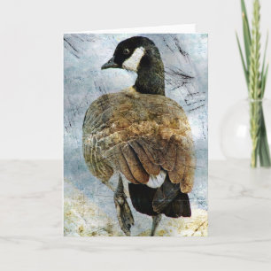 Canada Goose Grunge Kaart