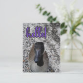 Canada Goose Hallo Briefkaart (Staand voorkant)