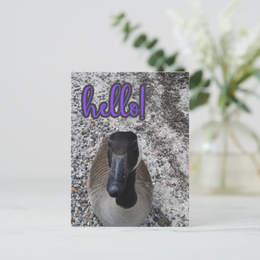 Canada Goose Hallo Briefkaart (Staand voorkant)