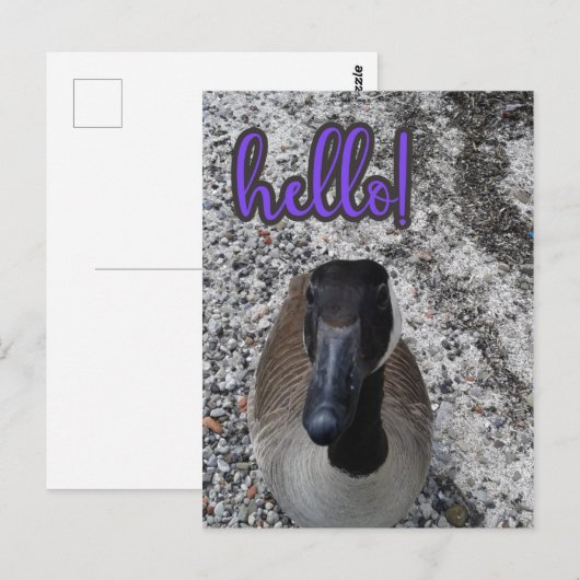 Canada Goose Hallo Briefkaart (Voorkant / Achterkant)