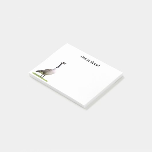 Canada Goose Honking Notes (Schuin)