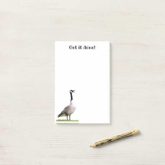 Canada Goose Honking Notes (Op bureau)