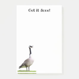 Canada Goose Honking Notes