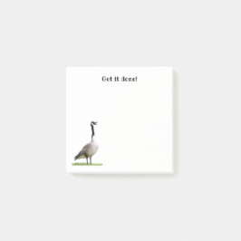 Canada Goose Honking Notes