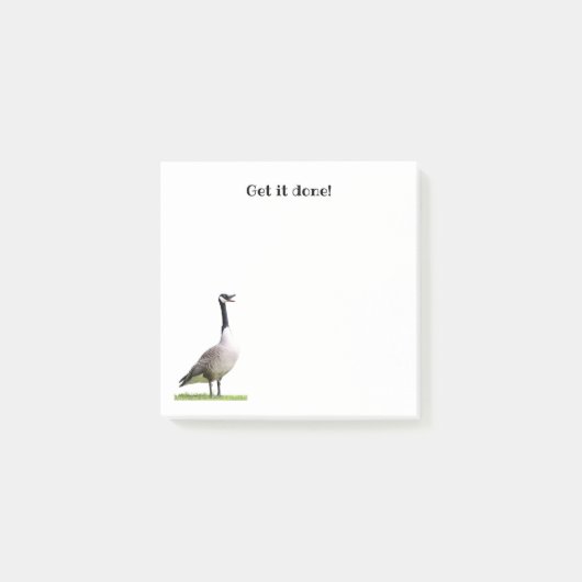 Canada Goose Honking Notes (Voorkant)