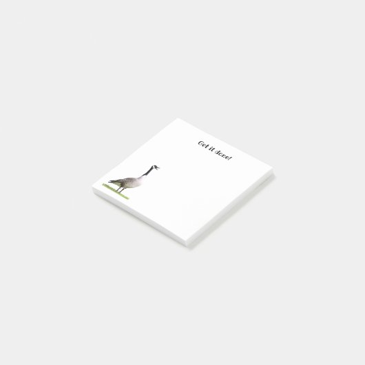 Canada Goose Honking Notes (Schuin)