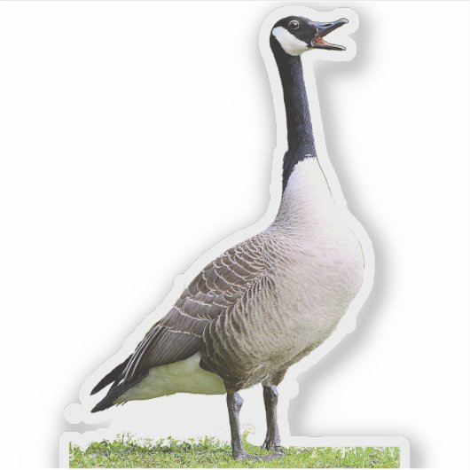 Canada Goose Honking Sticker (Voorkant)
