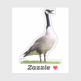 Canada Goose Honking Sticker