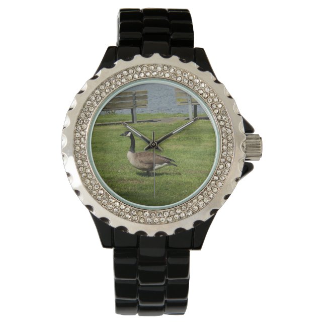 Canada Goose Horloge (Voorkant)