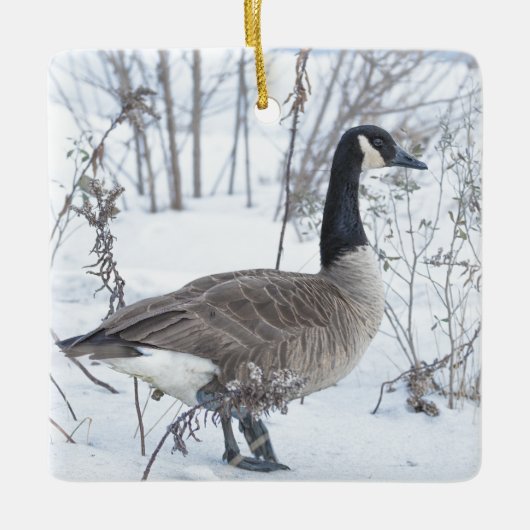 Canada Goose in Snow Ornament (Voorkant)