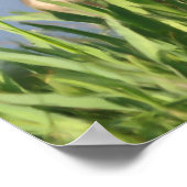 Canada Goose Inner Peace Inspirerend Quote Poster (Hoek)